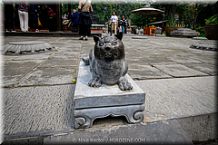 Da Xing Shan Temple-07-_XAN1728.jpg