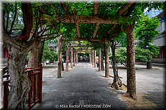 Da Xing Shan Temple-21-Da Xing Shan Temple-_XAN1843-HDR(3).jpg