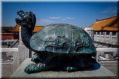 Forbidden City-19-_MJR0199.jpg