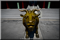Forbidden City-23-_MJR0257.jpg