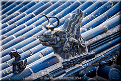 Forbidden City-49-_MJR0693.jpg