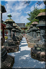 Japan Day12-Tokyo-07-_TK35150.jpg