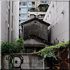 Japan Day12-Tokyo-38-_TK36183.jpg