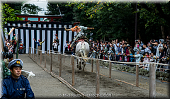 Japan Day13-Kamakura-13-_KAM7819.jpg