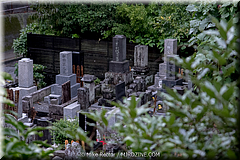 Japan Day13-Kamakura-31-_KAM8081.jpg