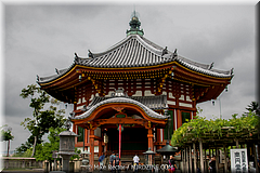 Japan Day2-Nara-02-_NRA0027-Edit.jpg