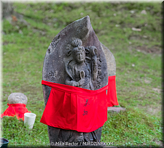 Japan Day2-Nara-05-_NRA0057.jpg