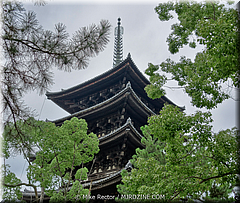 Japan Day2-Nara-12-_NRA0115-HDR(3).jpg