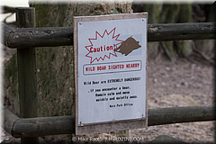 Japan Day2-Nara-14-_NRA0147.jpg