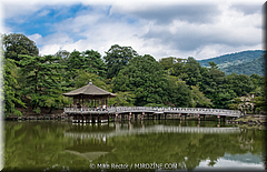 Japan Day2-Nara-15-_NRA0187-HDR(3).jpg