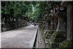 Japan Day2-Nara-19-_NRA0318.jpg