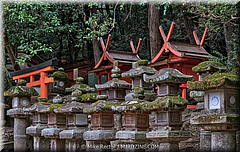 Japan Day2-Nara-24-_NRA0391-HDR(3)2.jpg