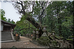 Japan Day2-Nara-30-_NRA0490-HDR(3).jpg