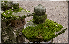 Japan Day2-Nara-31-_NRA0501.jpg