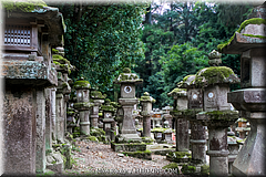 Japan Day2-Nara-35-_NRA0603.jpg