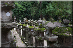 Japan Day2-Nara-36-_NRA0614.jpg