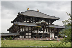Japan Day2-Nara-43-_NRA0784-HDR(3).jpg
