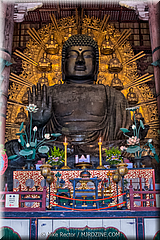 Japan Day2-Nara-50-_NRA0880-03-HDR(3).jpg