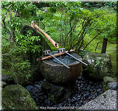 Japan Day3-Koke Dera-02-_KYO1092.jpg
