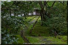 Japan Day3-Koke Dera-03-_KYO1094.jpg