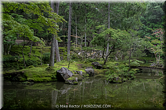 Japan Day3-Koke Dera-16-_KYO1602.jpg