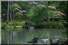 Japan Day3-Koke Dera-18-_KYO1632.jpg