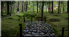 Japan Day3-Koke Dera-24-_KYO1722.jpg