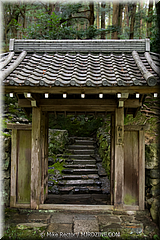 Japan Day3-Koke Dera-26-_KYO1761.jpg