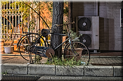 Japan Day4-Kyoto-02-_KYO1048-03-HDR(3).jpg