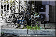 Japan Day4-Kyoto-03-_KYO1046.jpg