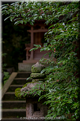 Japan Day4-Kyoto-10-_KYO2224-HDR.jpg