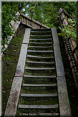 Japan Day4-Kyoto-11-_KYO2238.jpg