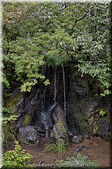 Japan Day4-Kyoto-12-_KYO2248-HDR(3).jpg