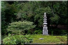 Japan Day4-Kyoto-13-_KYO2292.jpg