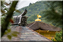 Japan Day4-Kyoto-14-_KYO2328.jpg