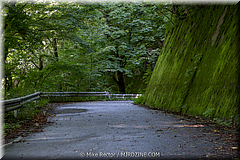 Japan-Favorites-44.jpg