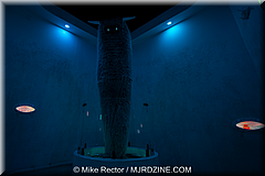 MeowWolf (02).jpg
