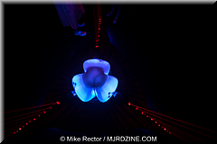 MeowWolf (06).jpg