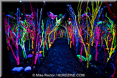 MeowWolf (08).jpg