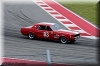 ClassicCarRaces-124.jpg