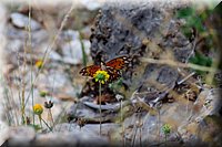 ColoradoBendSP-26.jpg