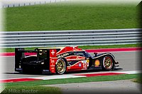 LeMans-8.jpg