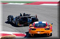 LeMans-9.jpg