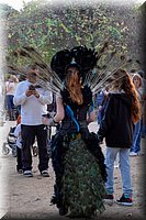 RenFest2014-44.jpg