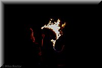 RenFest2014-53.jpg