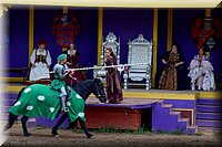 RenFest2014-6.jpg