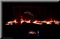 RenFest2014-60.jpg
