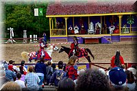 RenFest2014-7.jpg