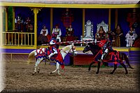 RenFest2014-9.jpg