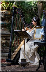 RenFest2015-5723.jpg